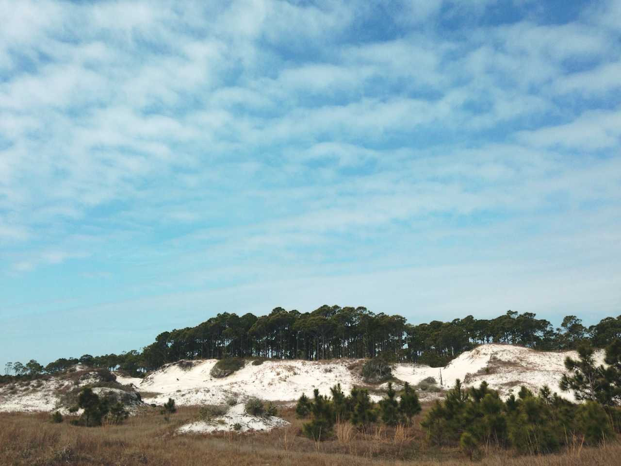 Dr. Julian G. Bruce St. George Island State Park