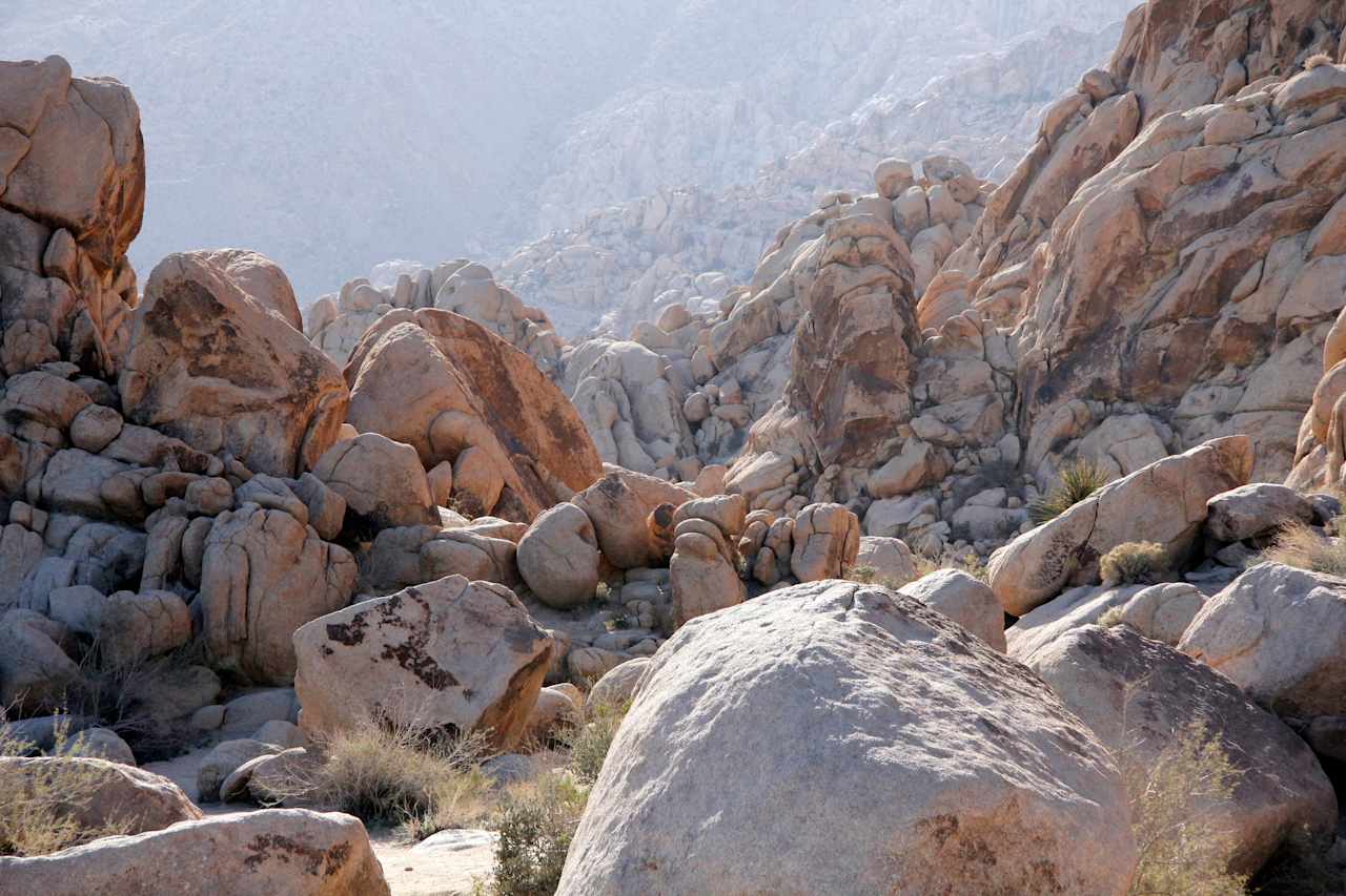 Indian Cove Campground; Twentynine Palms, CA via NPS: https://www.flickr.com/photos/joshuatreenp/