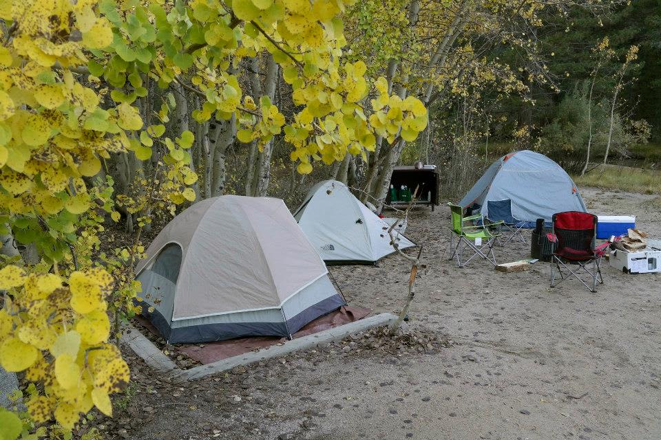 I really enjoyed this campground.  There is a creek going right thru and the group sites are right on it.  Also, I like the fact that the sites are quite secluded from one another and plenty spacious.  