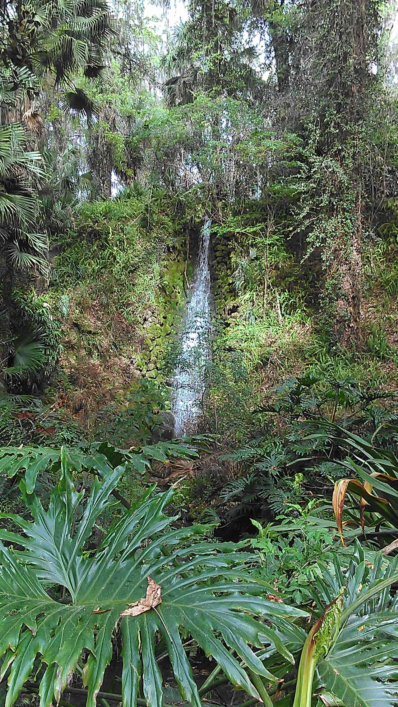 This park used to be a commercial enterprise including this waterfall. There used to even be a zoo. 