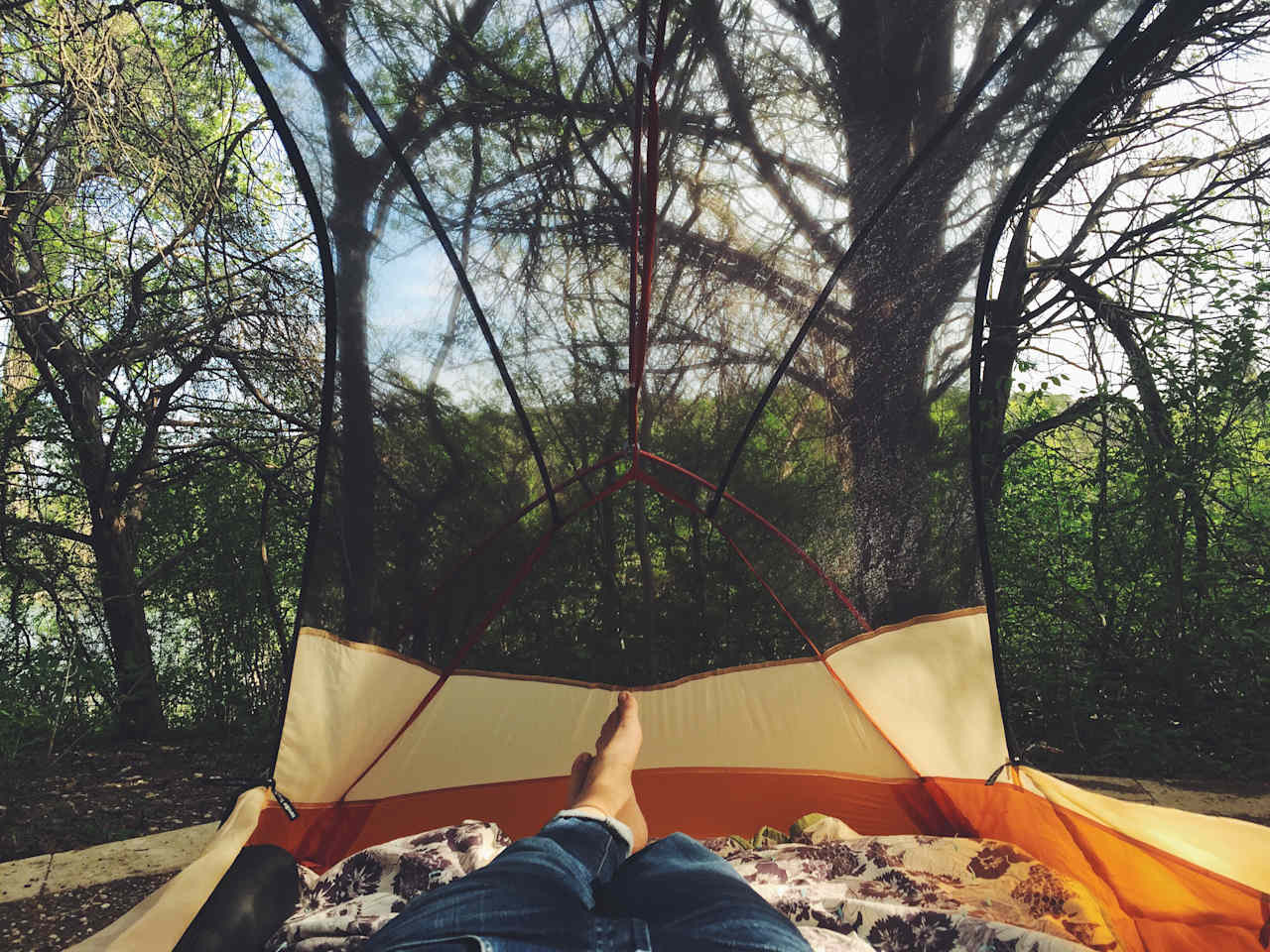 Campsite 28 is quietly tucked away under a canopy of bird-filled trees.