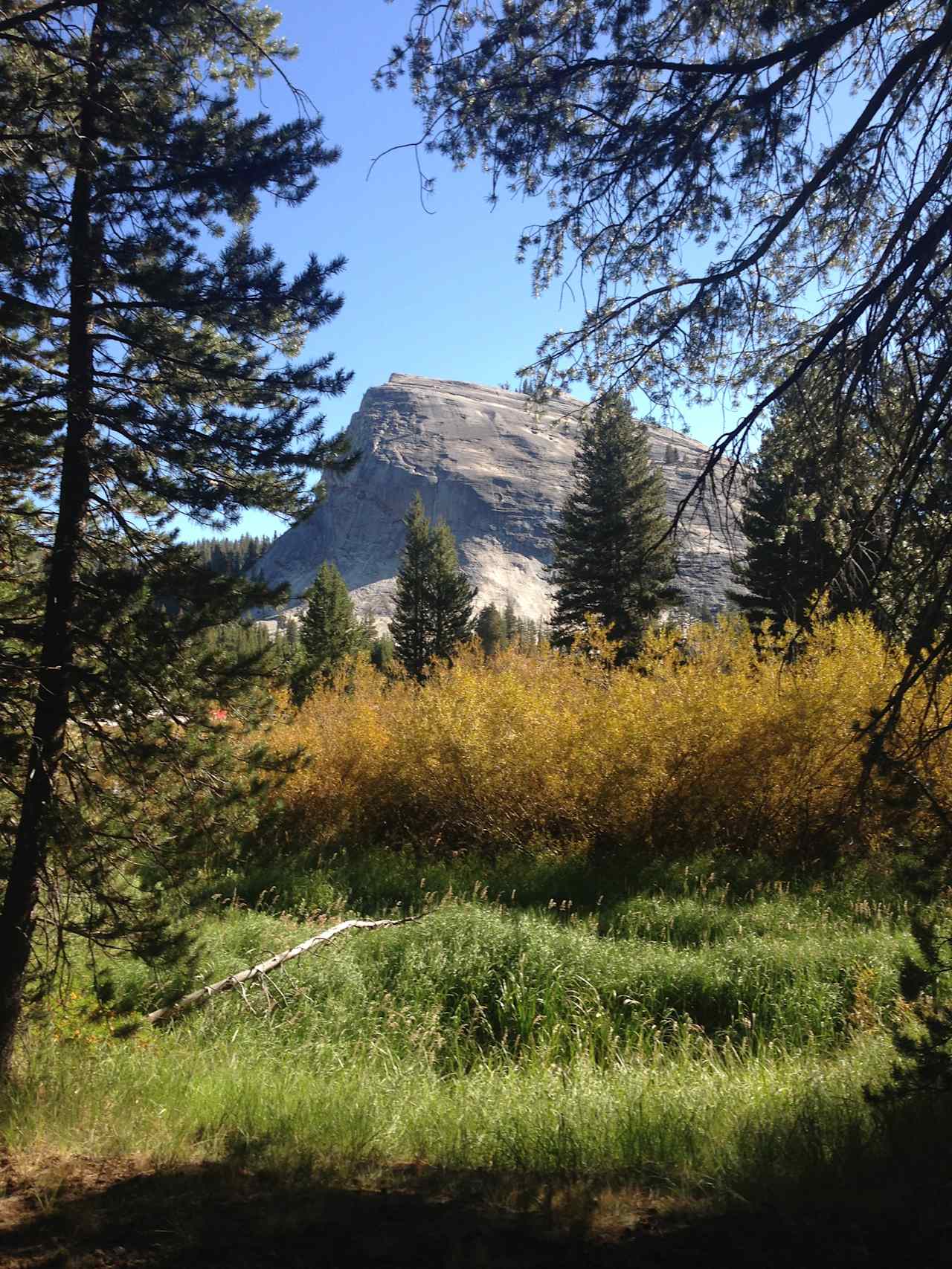 Tuolumne Meadows Walk-In Campground