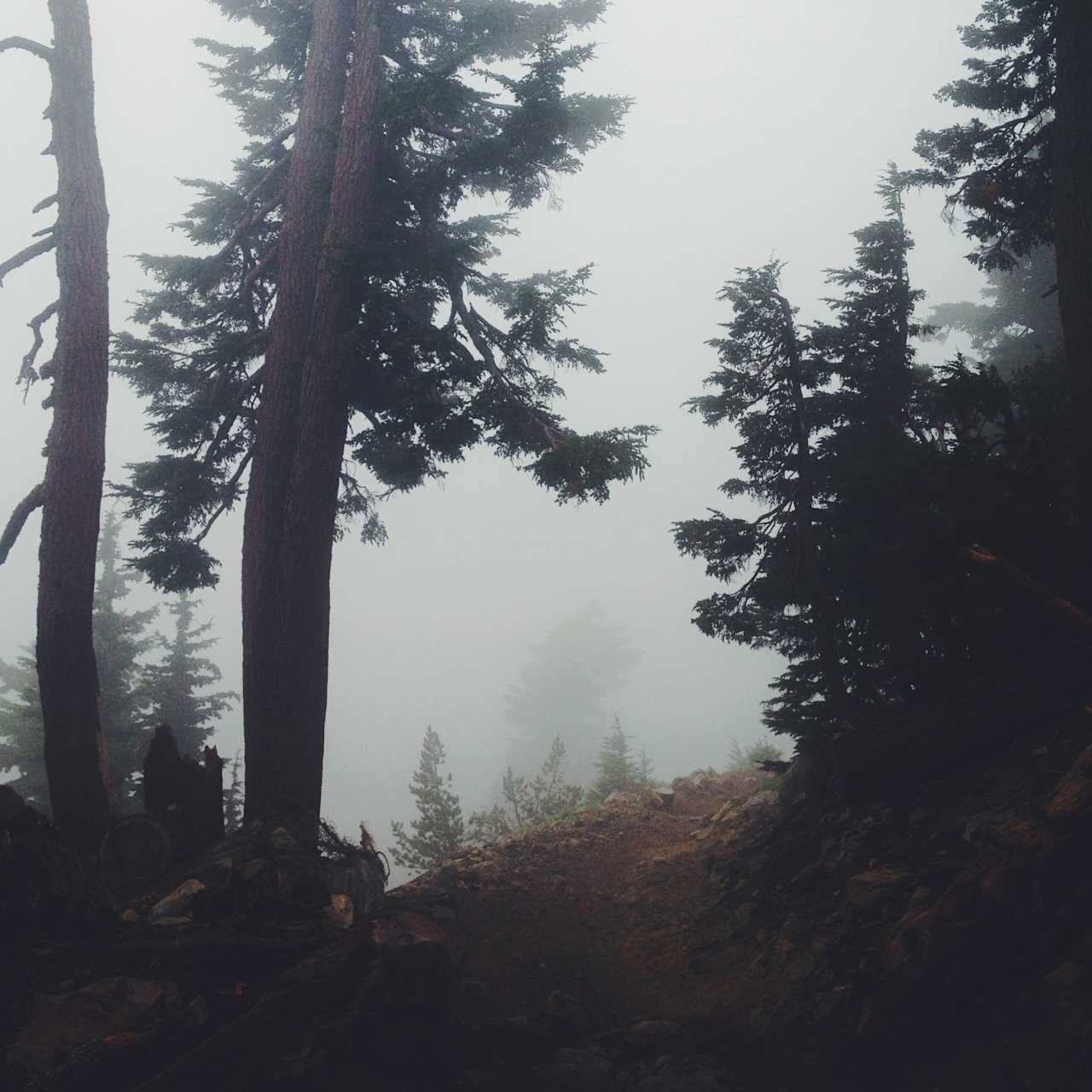 Headed up Mt. Lassen in the fog.