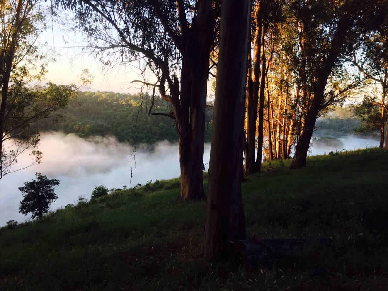 Smoke on the Water. Early morning fog over Lake Chabot. This is the morning view from campsite 71. Campsites 69-73 all sit on the hill overlooking the Lake. 