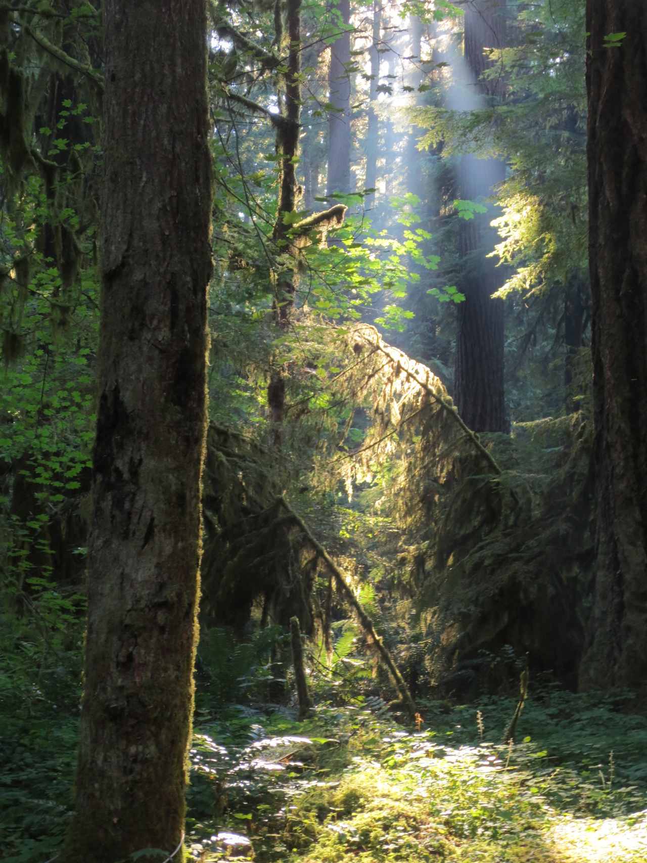 View from Campground Location