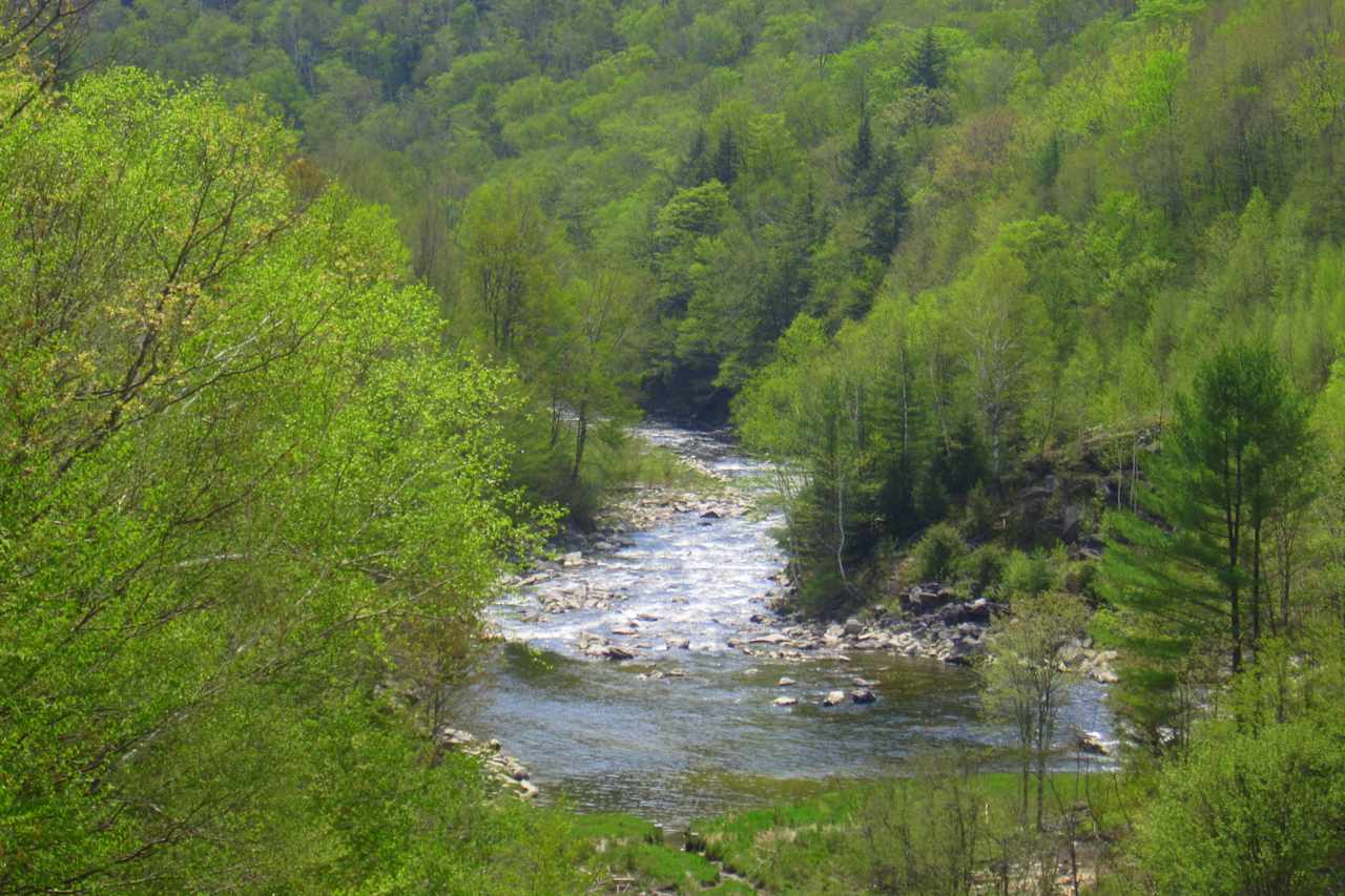 A river runs through Jamaica State Park