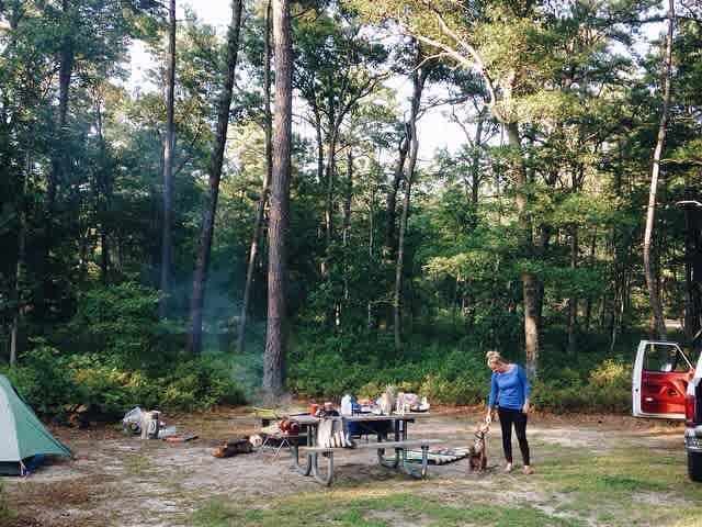 My husband, pitbull pup and I stumbled upon Bass River State Forest last year and have already made it an annual must! The sites are both beautiful and quiet and you're only steps to hiking and the water. 