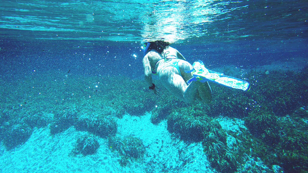 The waters of Alexander Springs.