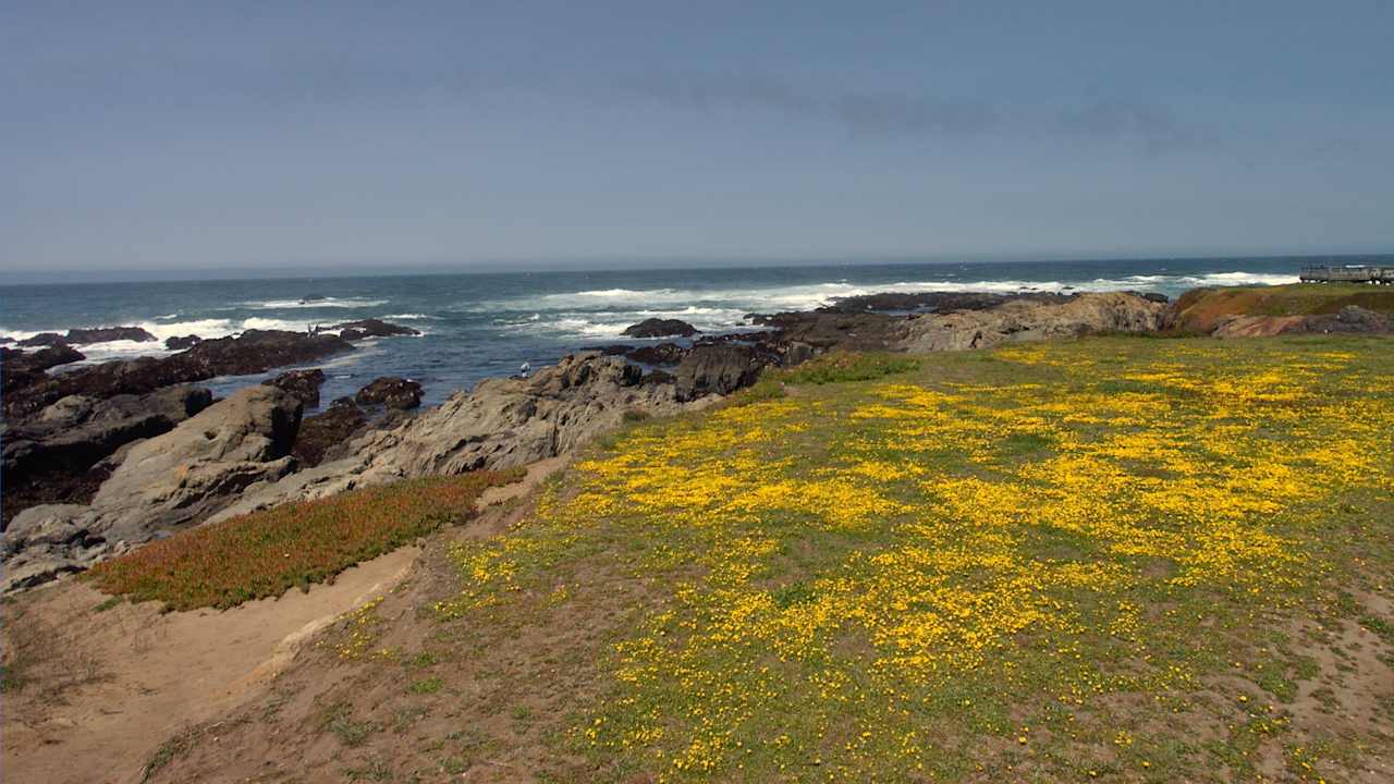 MacKerricher State Park