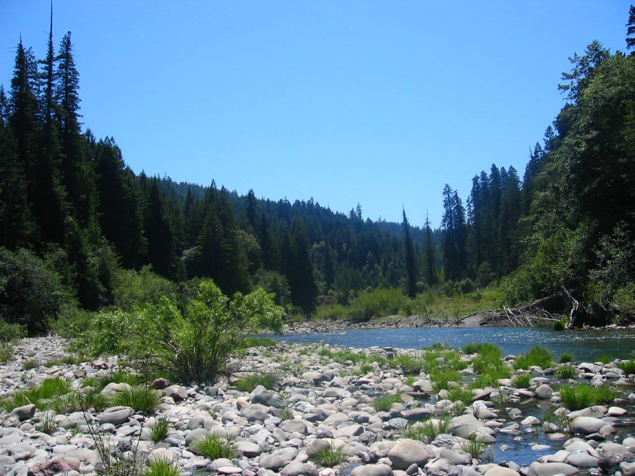 Grizzly Creek Redwoods State Park