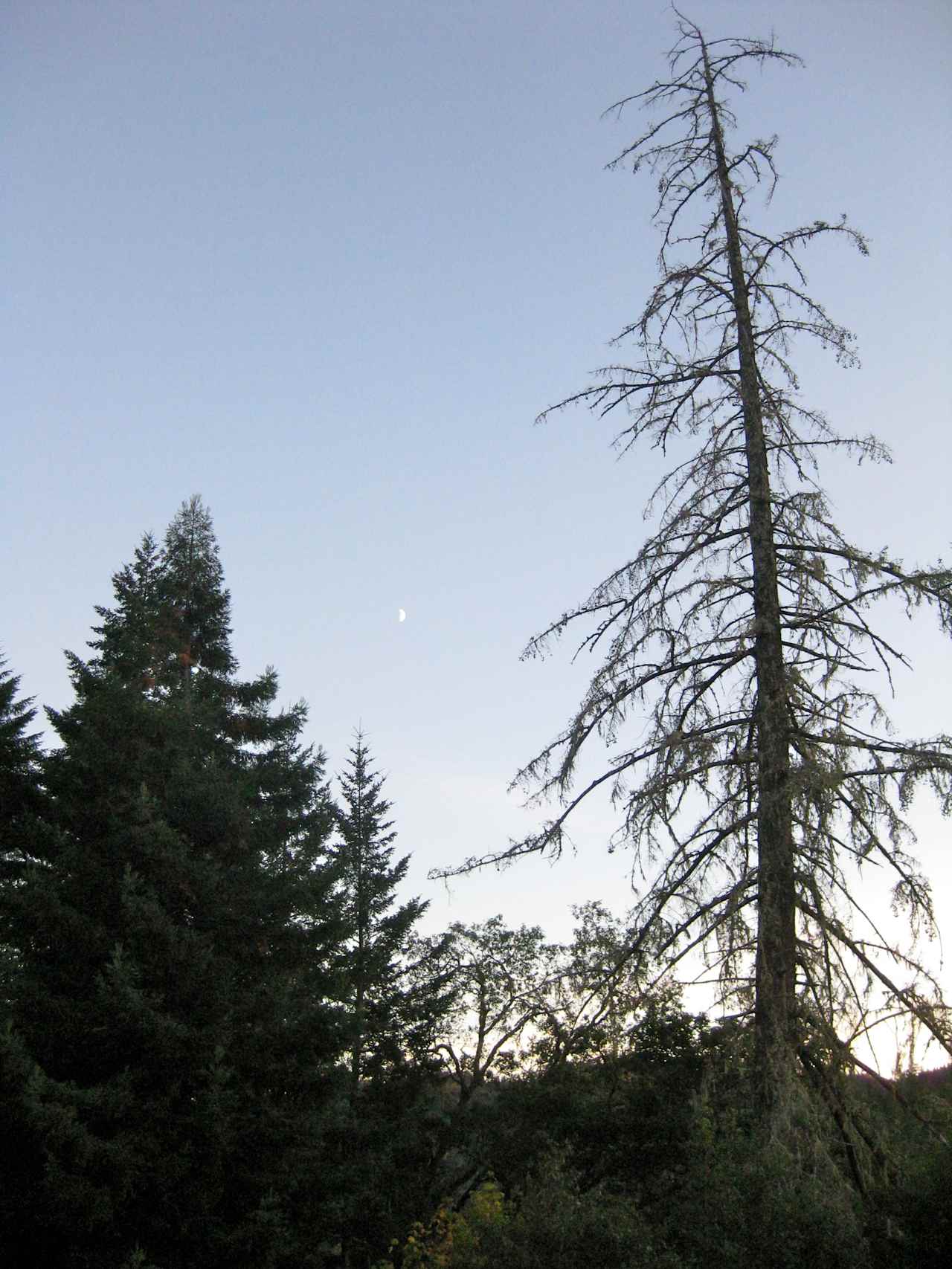 Standish-Hickey State Recreation Area