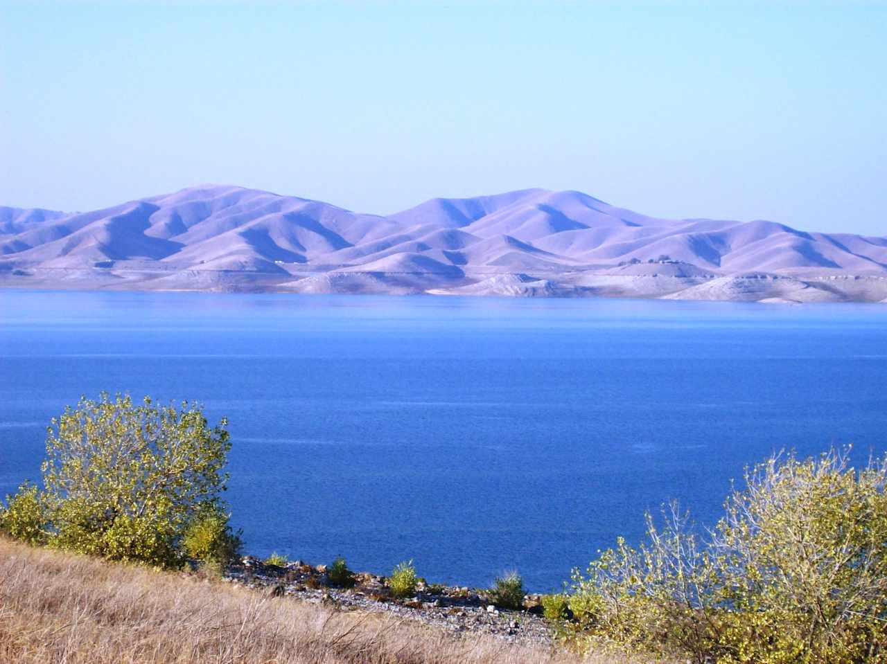 Los Banos Creek Campground