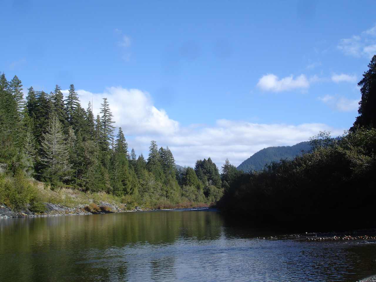 Redwoods Cabin Area