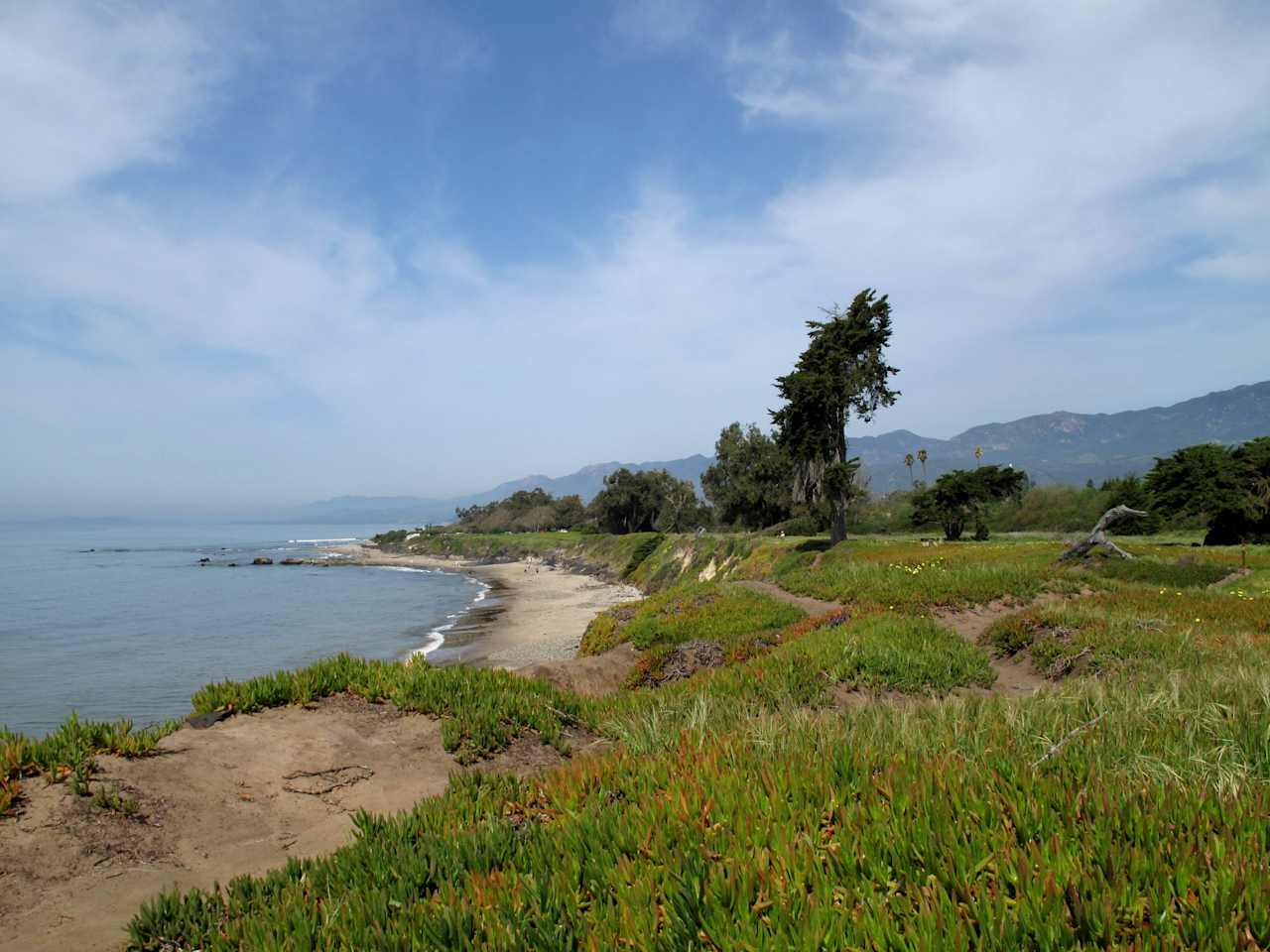 Carpinteria State Beach