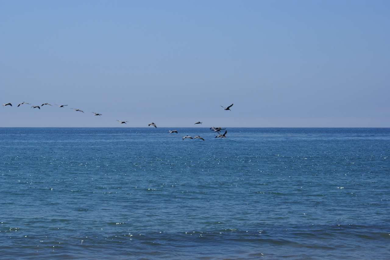 Refugio State Beach