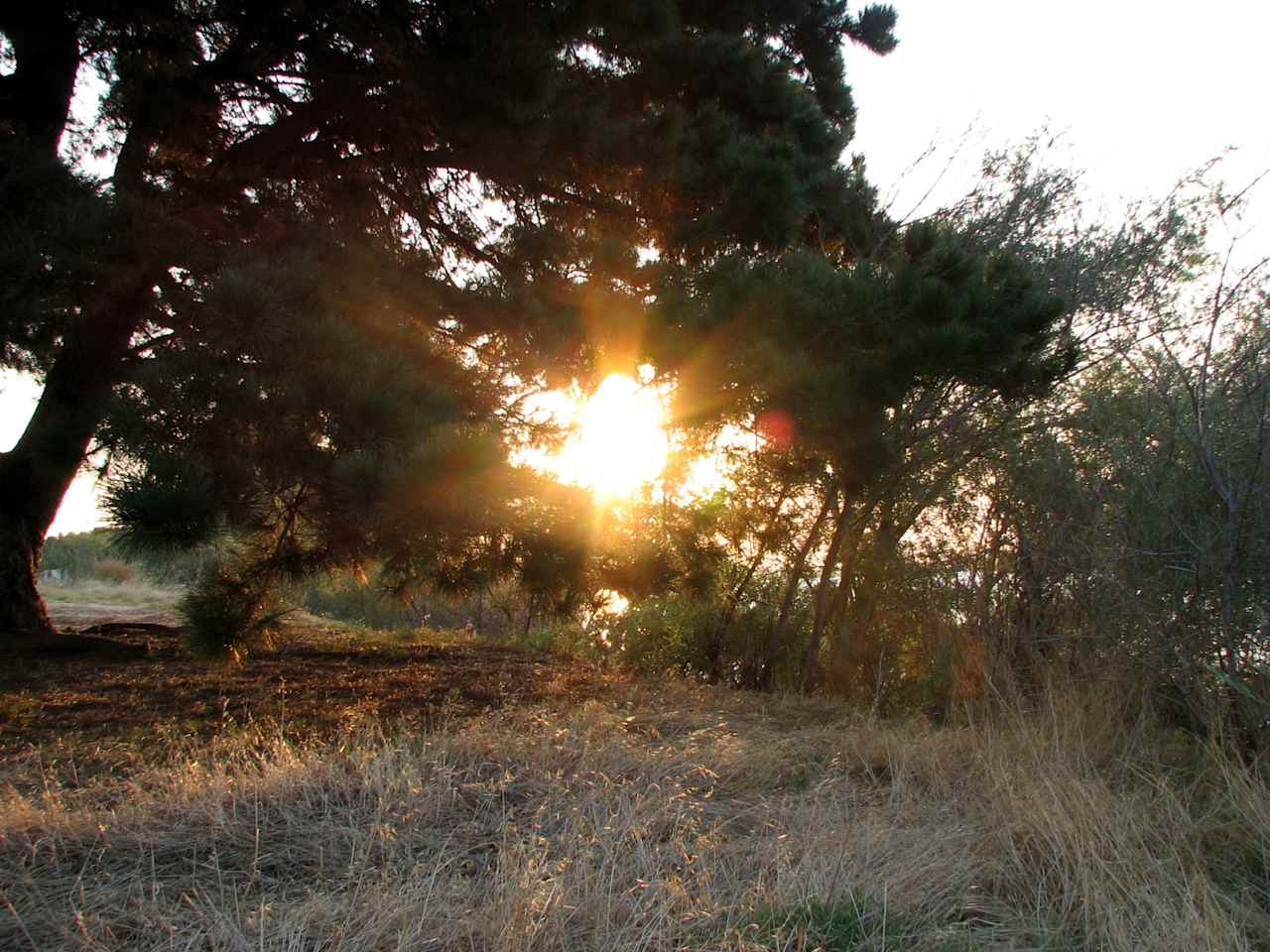 Brannan Island State Recreation Area