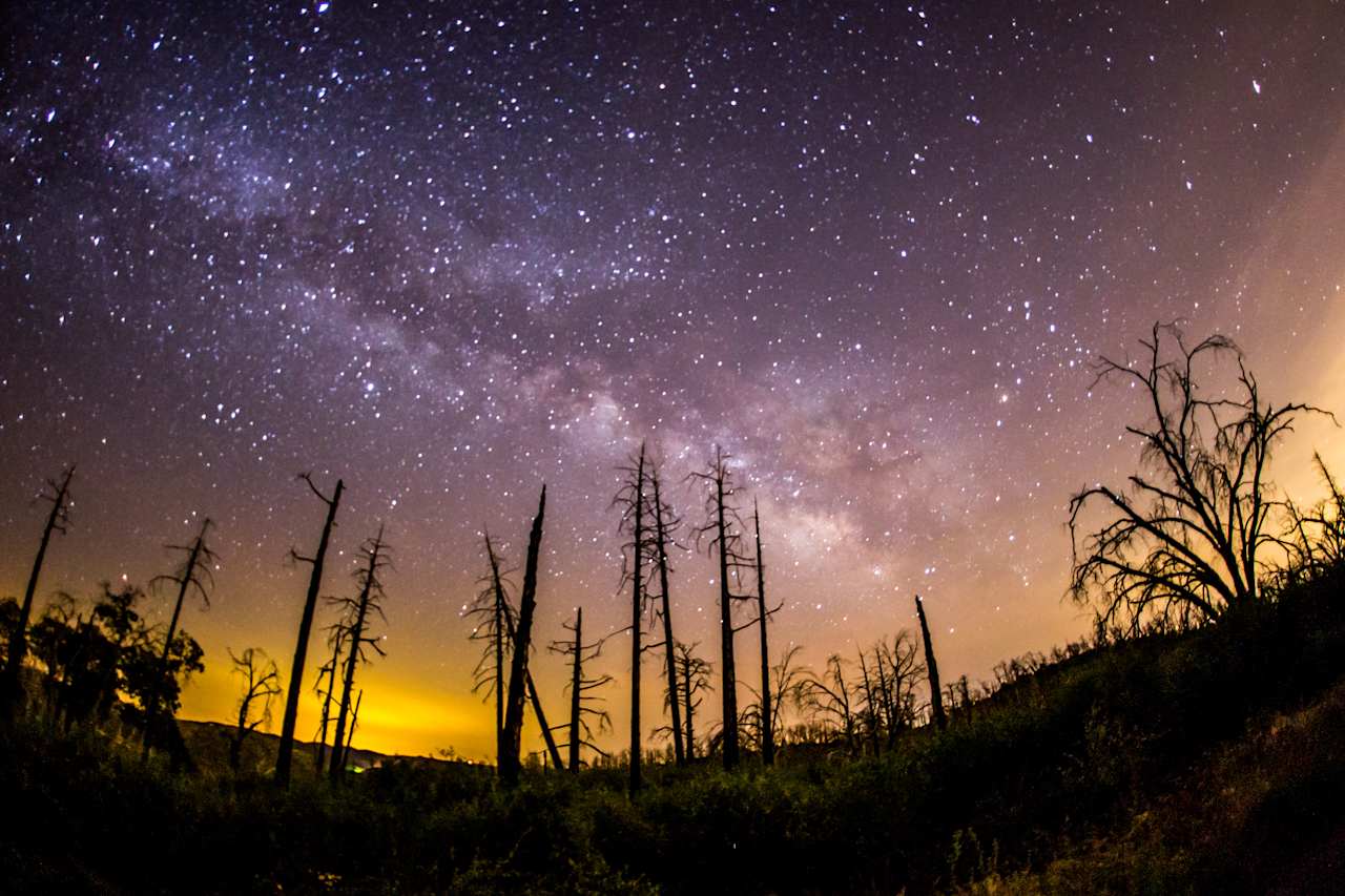 Cuyamaca Rancho State Park