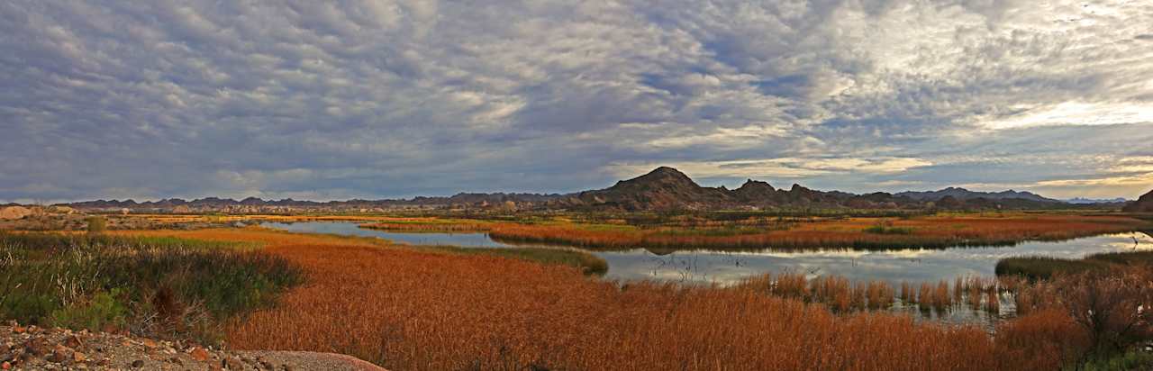 Carrizo Boat-in Campground