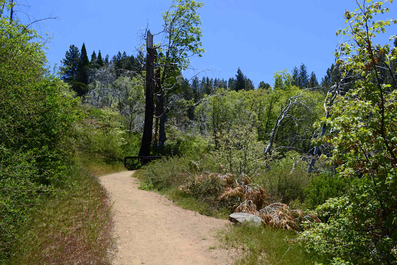 San Bernardino National Forest