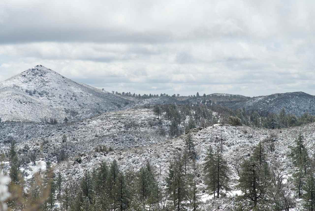 Cleveland National Forest