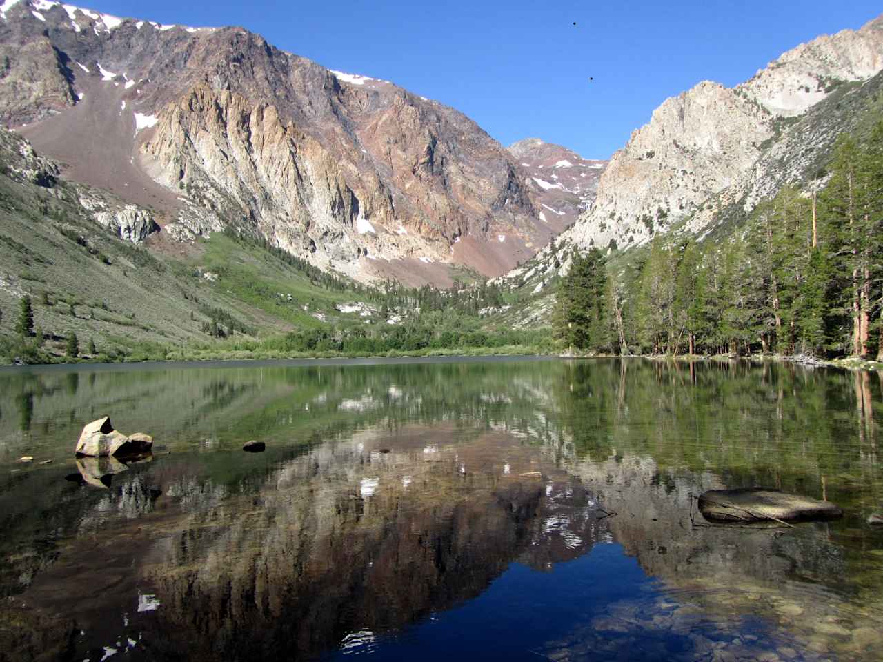 Inyo National Forest