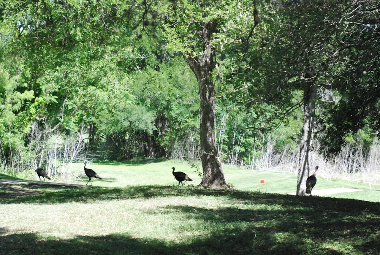 Lockhart State Park