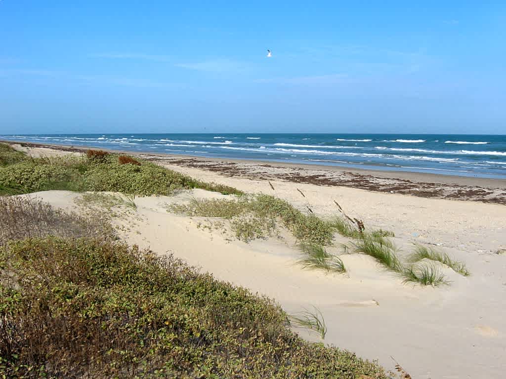 Padre Island National Seashore