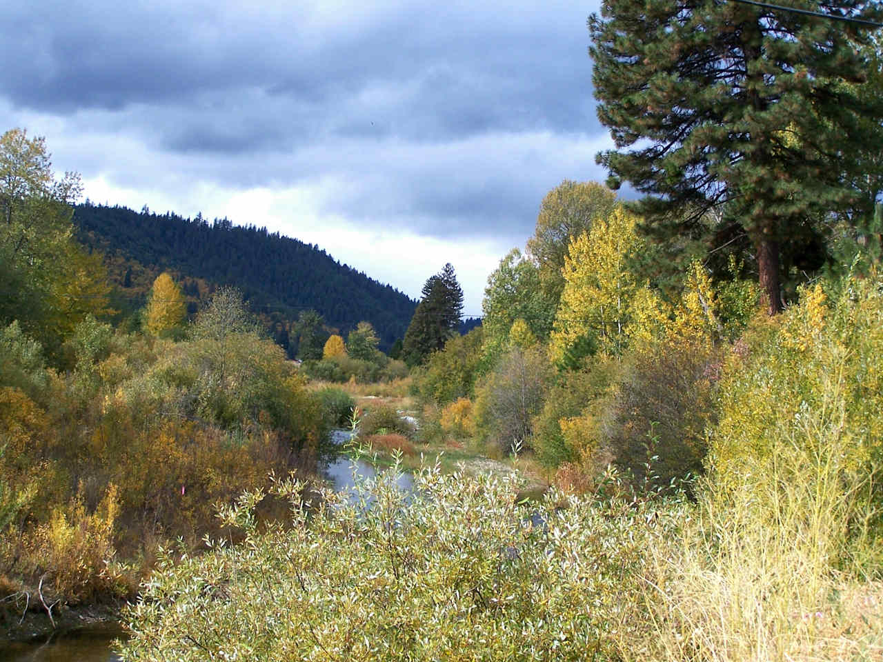 Plumas National Forest