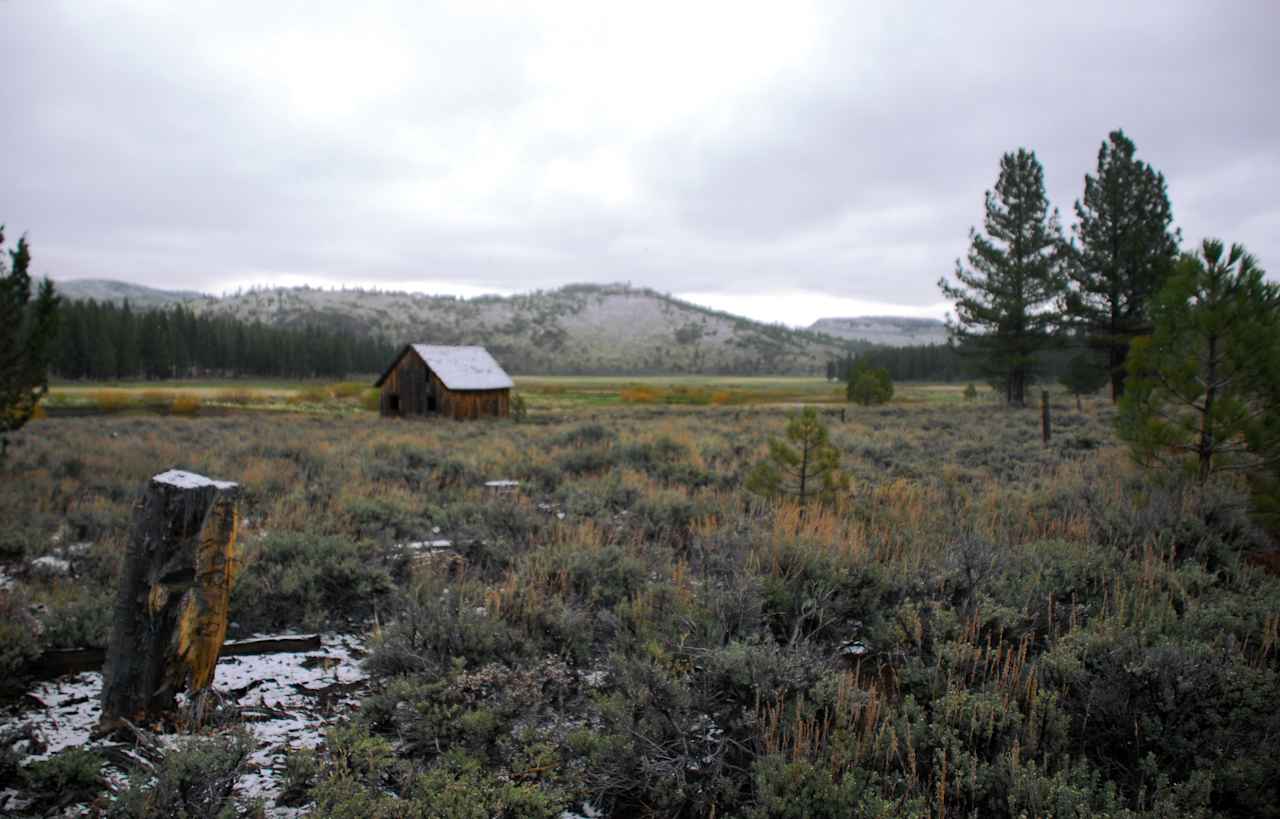 Queen Lily Campground