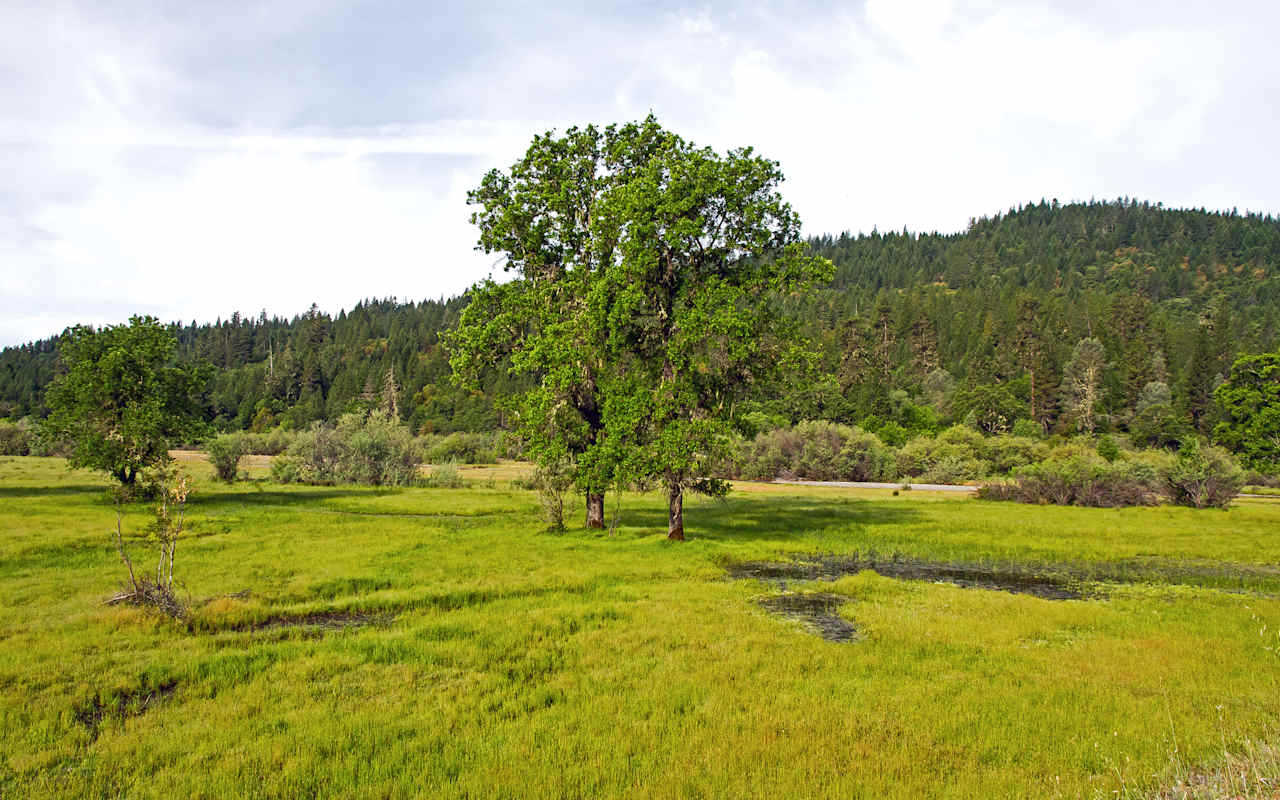 Surveyors Camp Campground