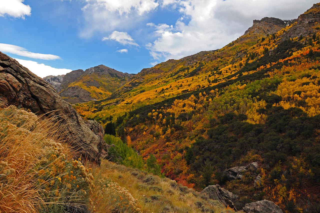 Humboldt-Toiyabe National Forest