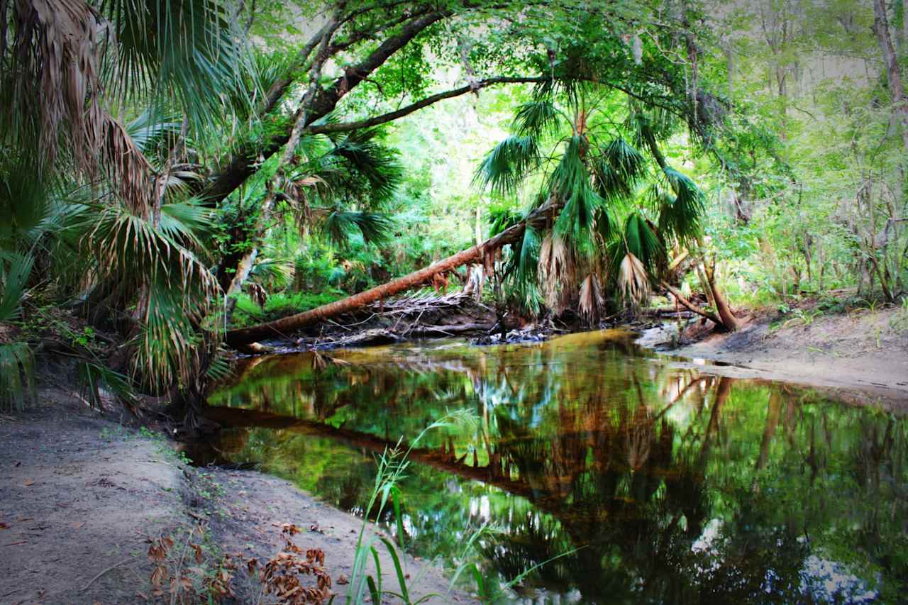 Lonseome Lake Campground