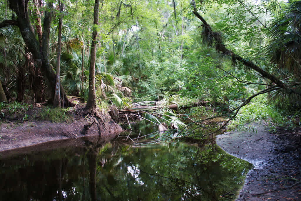 Alafia River State Park