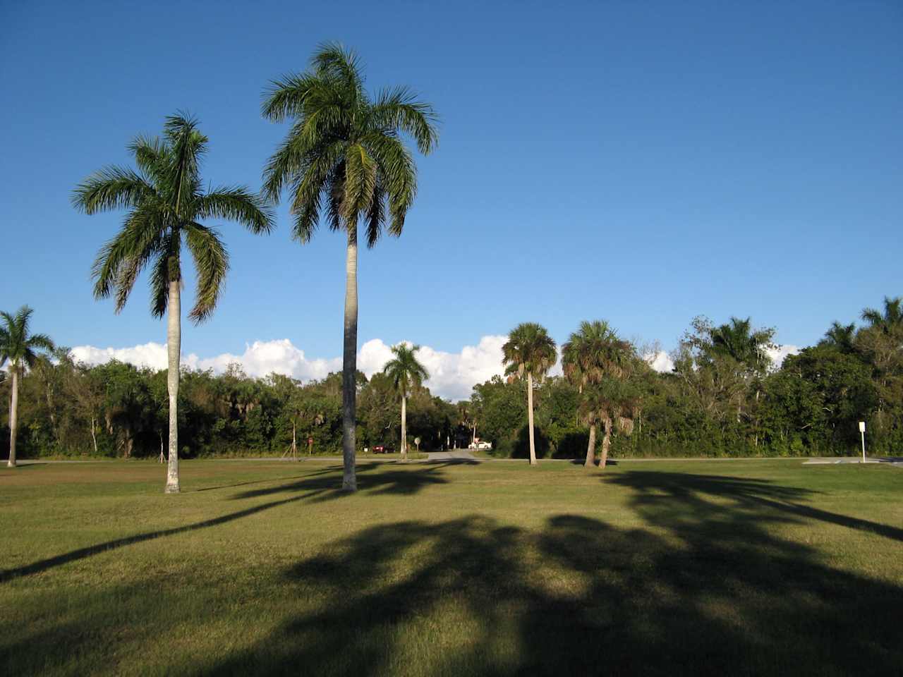 Collier-Seminole State Park Campground