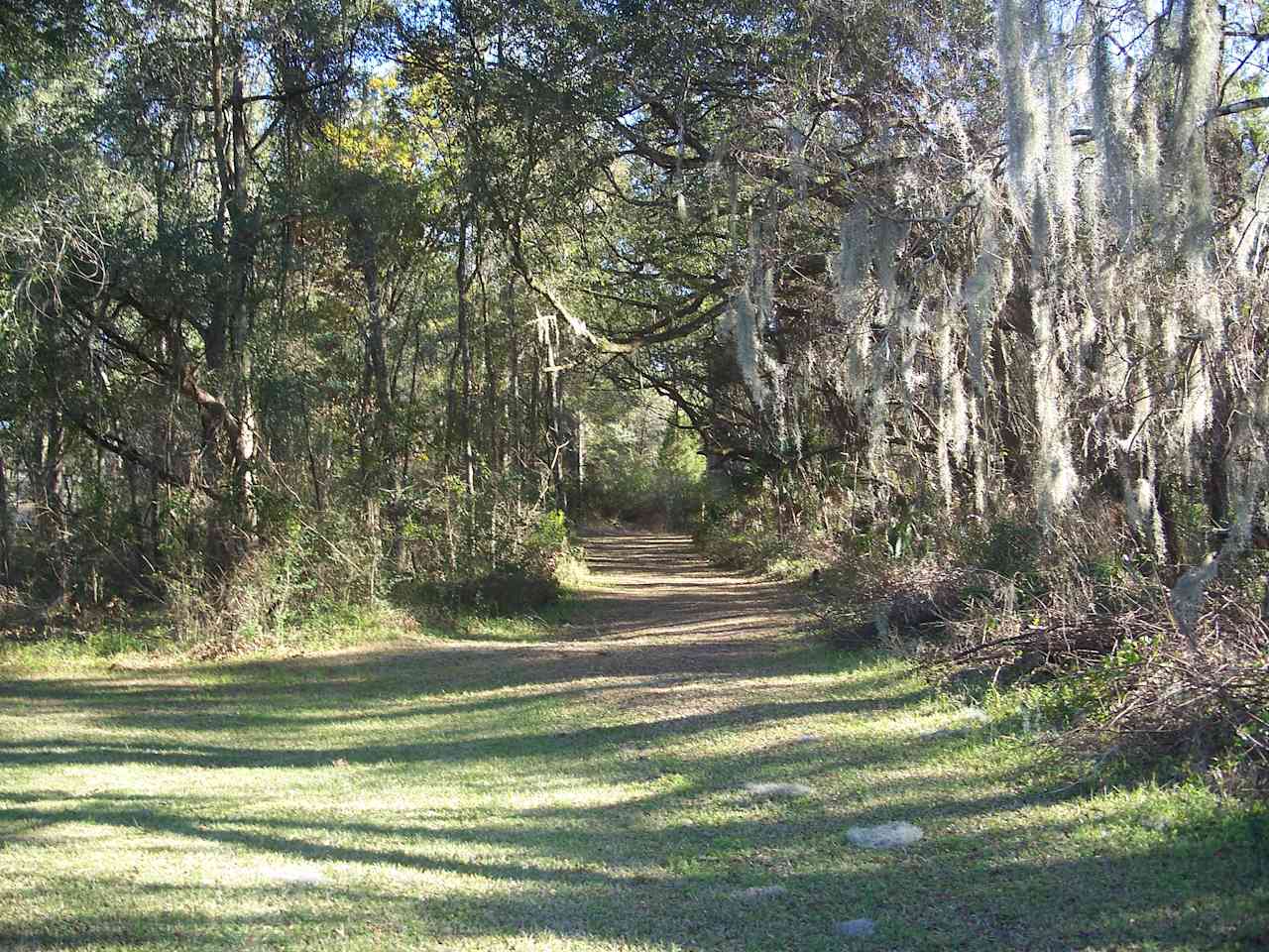 Rodman Campground