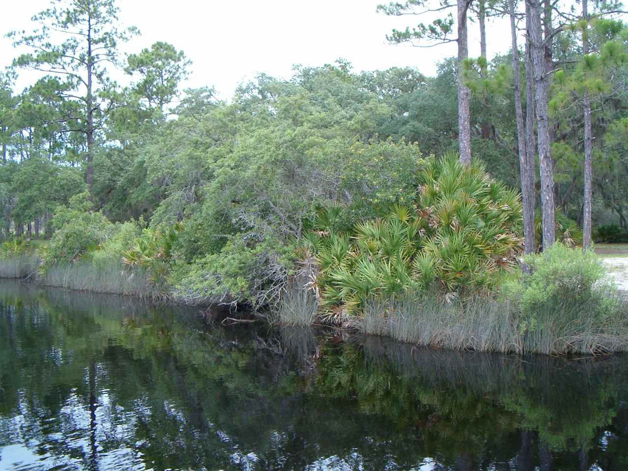 Faver-Dykes State Park