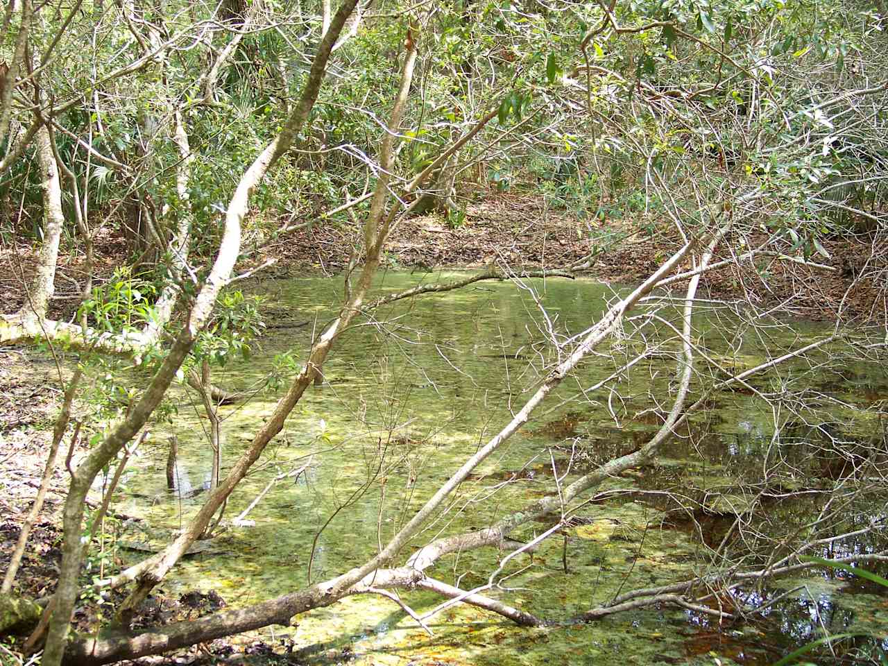 Atlantic Beach Campground