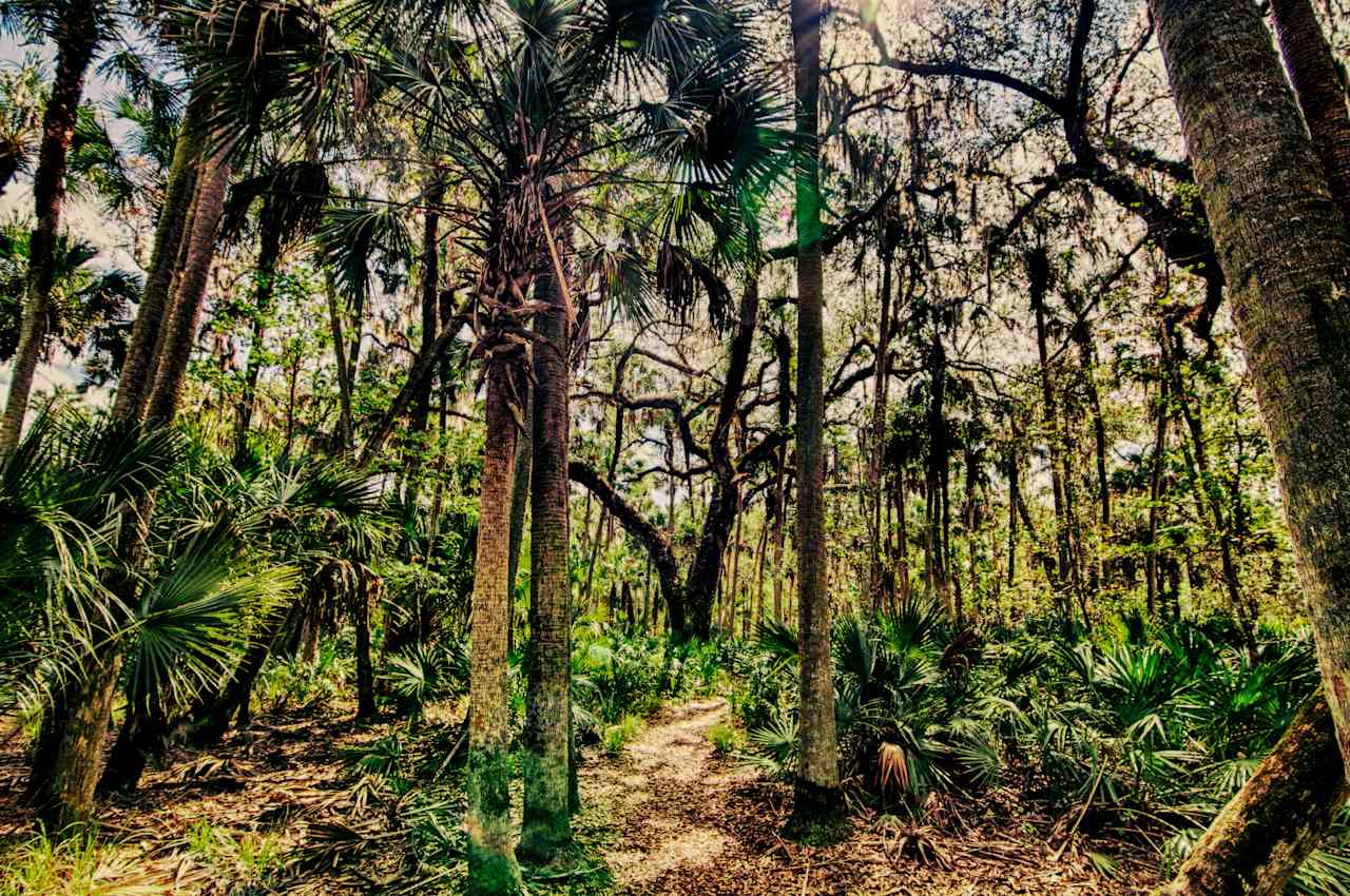 Hontoon Island State Park