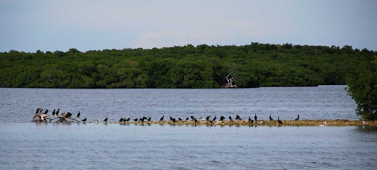 John Pennekamp Coral Reef State Park