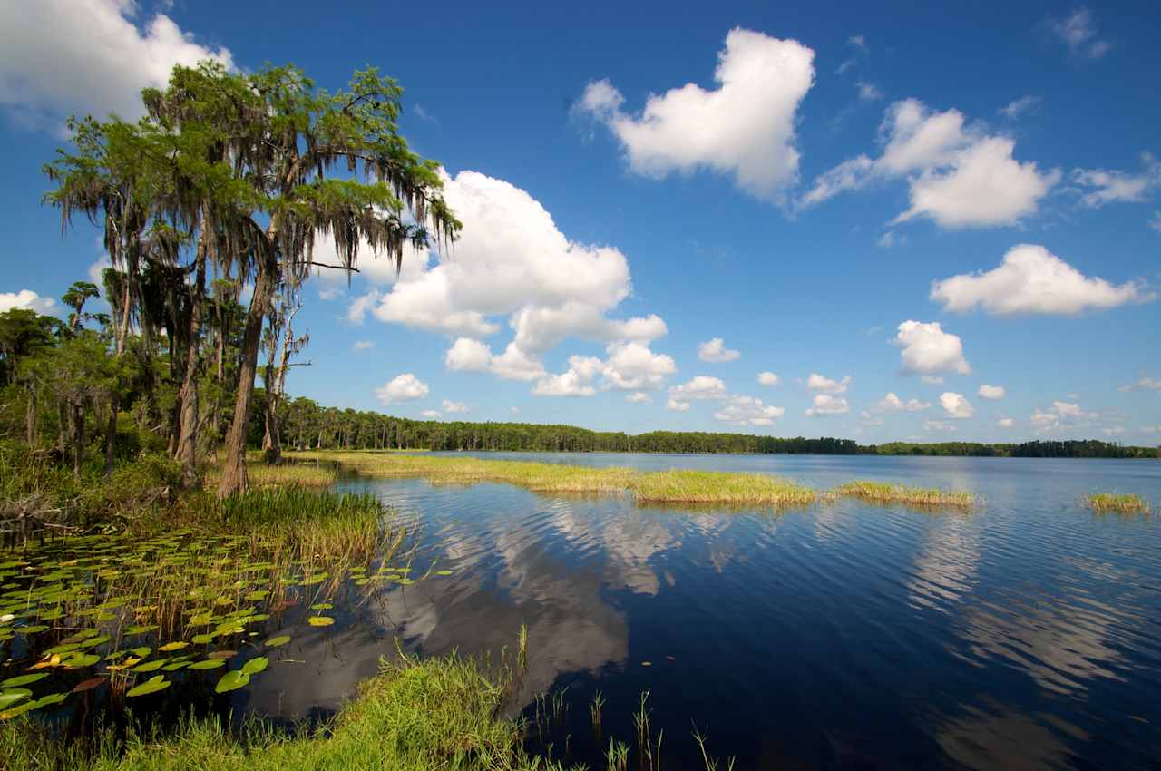 Lake Louisa State Park