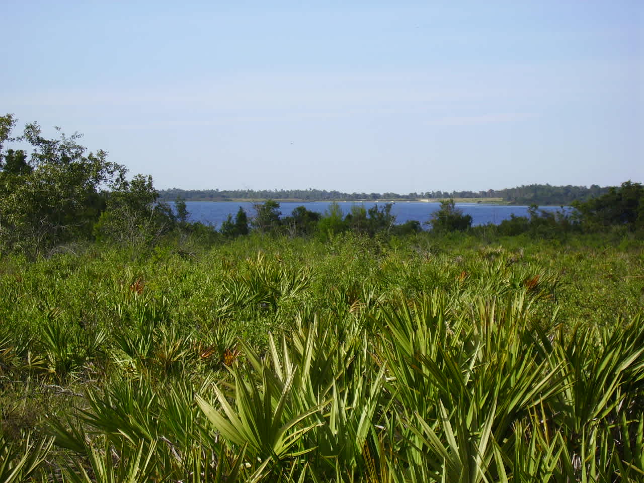 Lake Manatee Campground