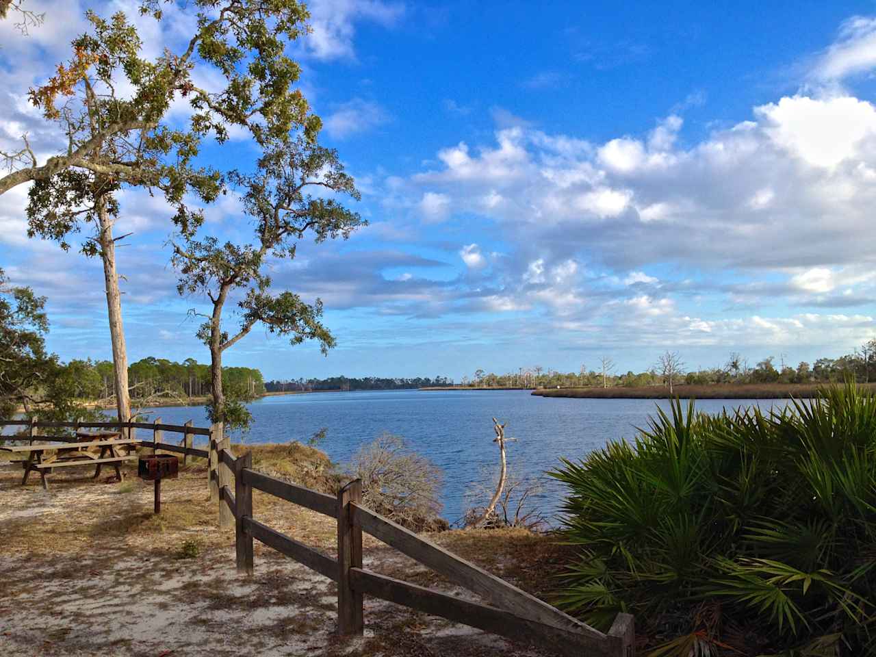 Ochlockonee River State Park