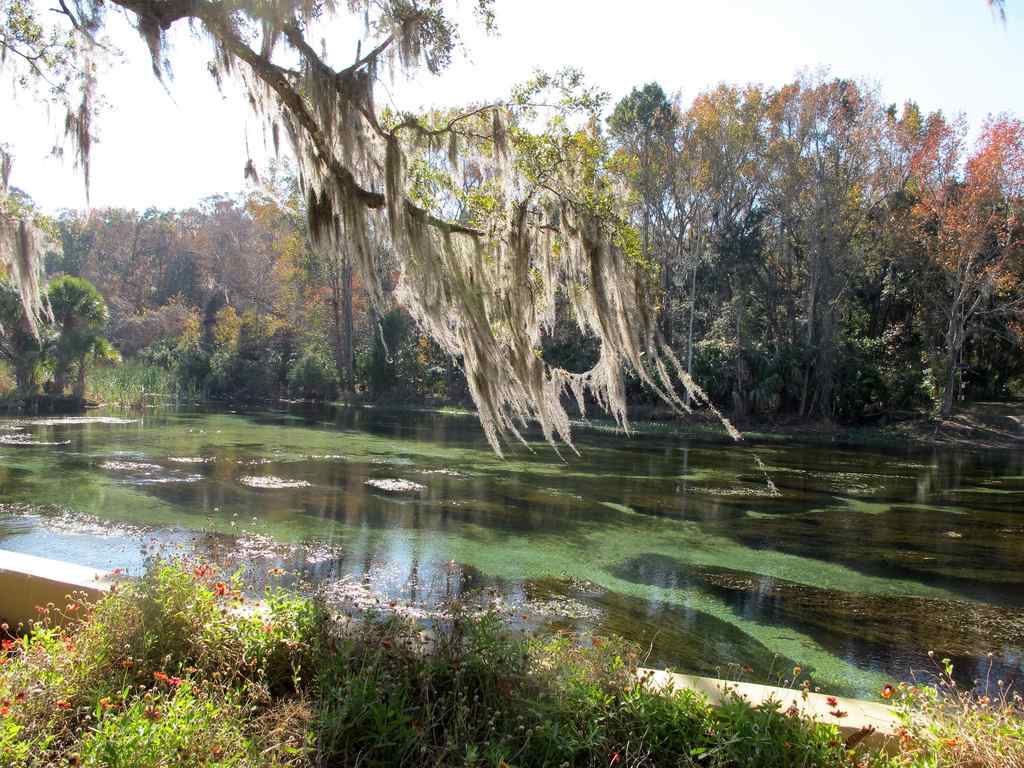 Mill Dam Group Campground