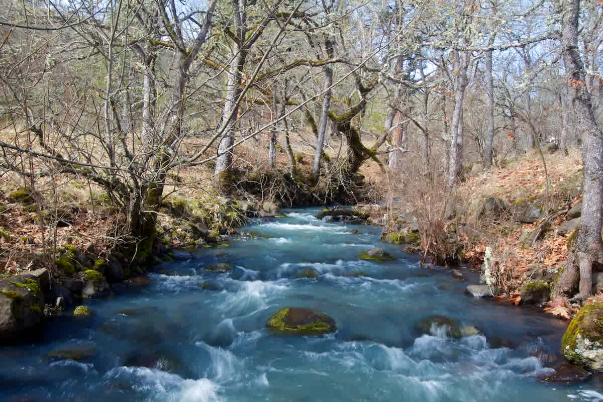 Catherine Creek State Park