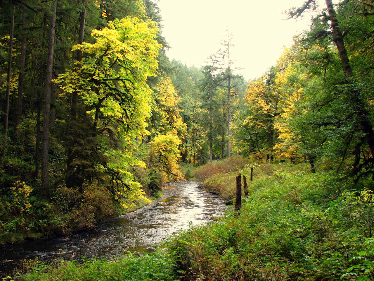 Silver Falls State Park