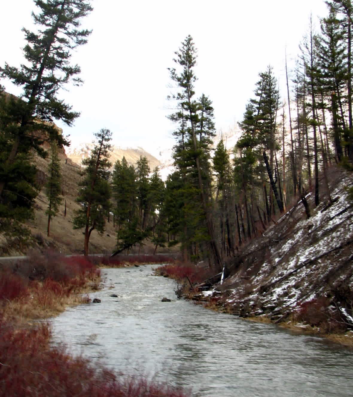 Ukiah-Dale Forest State Scenic Corridor