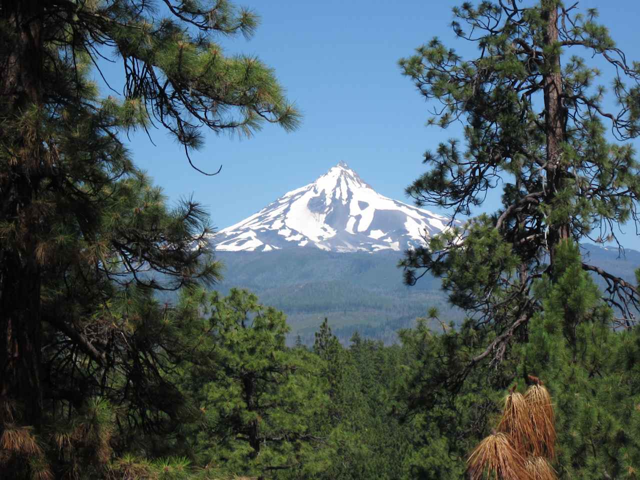 Deschutes National Forest