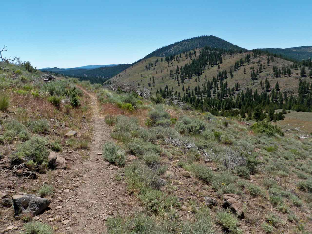 Horseglades Trailhead