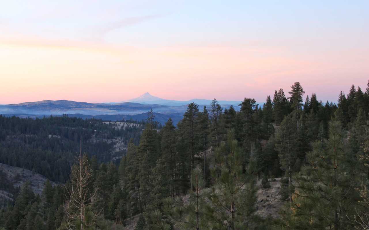 Ochoco National Forest