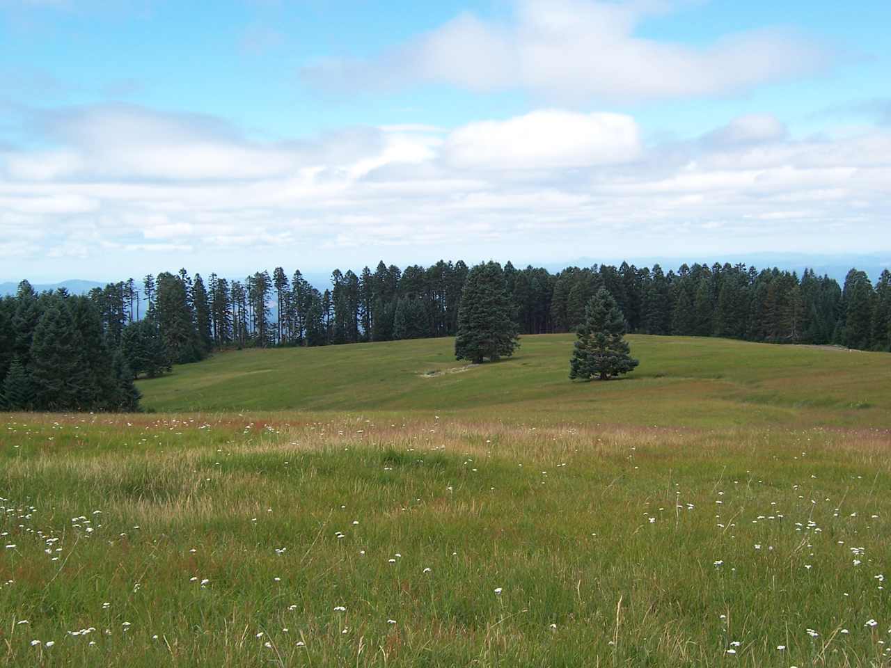 Carter Lake Campground